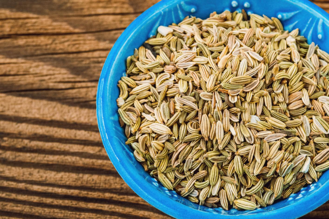 How Fennel Seeds Naturally Improve Digestion and Gut Comfort: A Holistic Approach to Digestive Wellness