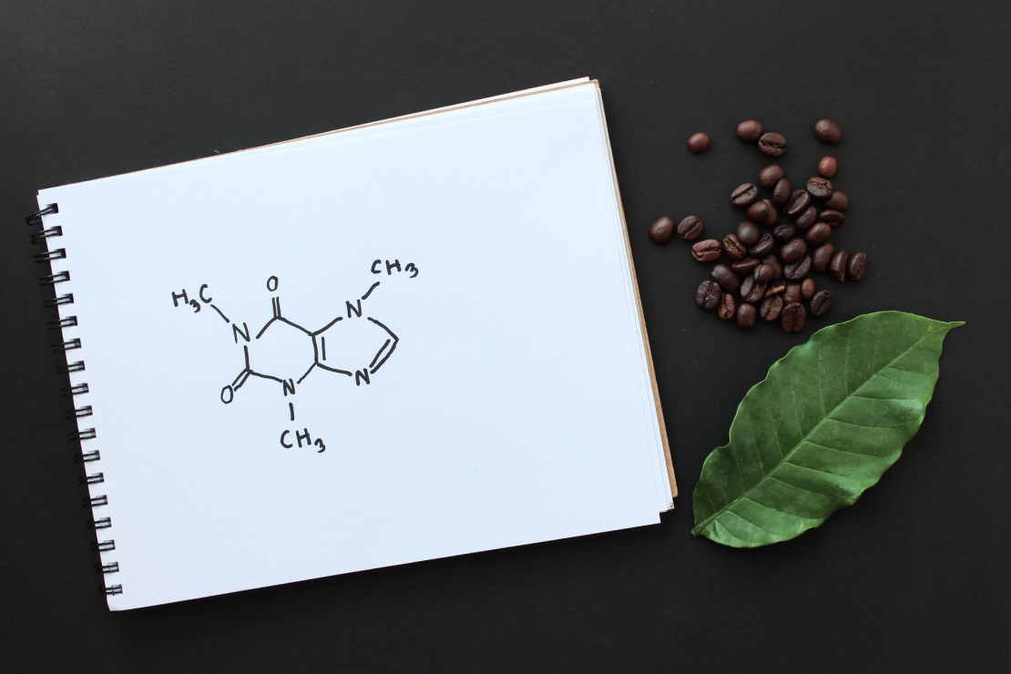 A scientific drawing of a caffeine molecule on a notepad next to roasted coffee beans and a green coffee leaf, symbolizing the science behind coffee.