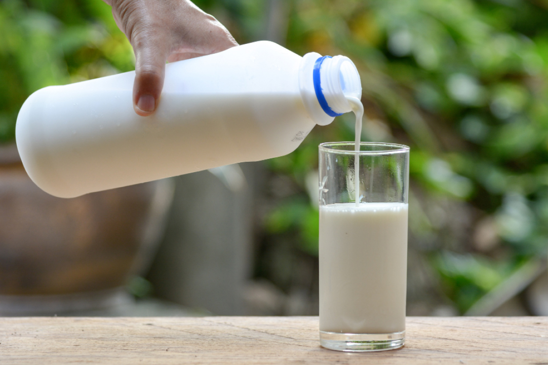 Milk and Weight Loss