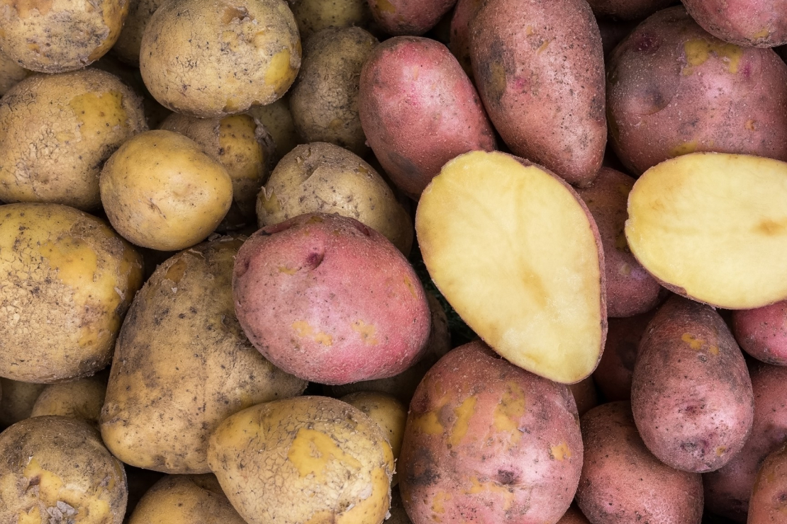 A pile of yellow and red potatoes, including one sliced open to show the pale interior