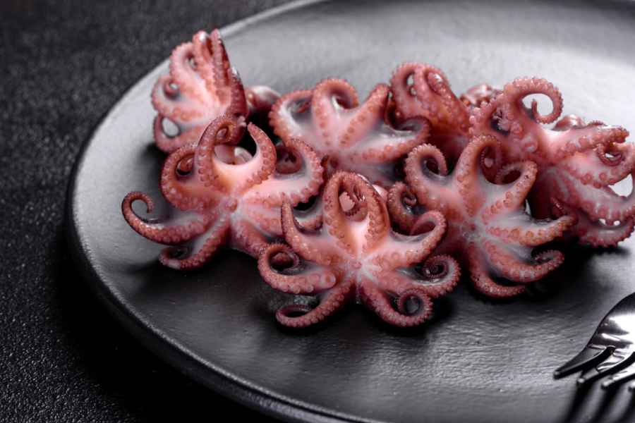 Octopus