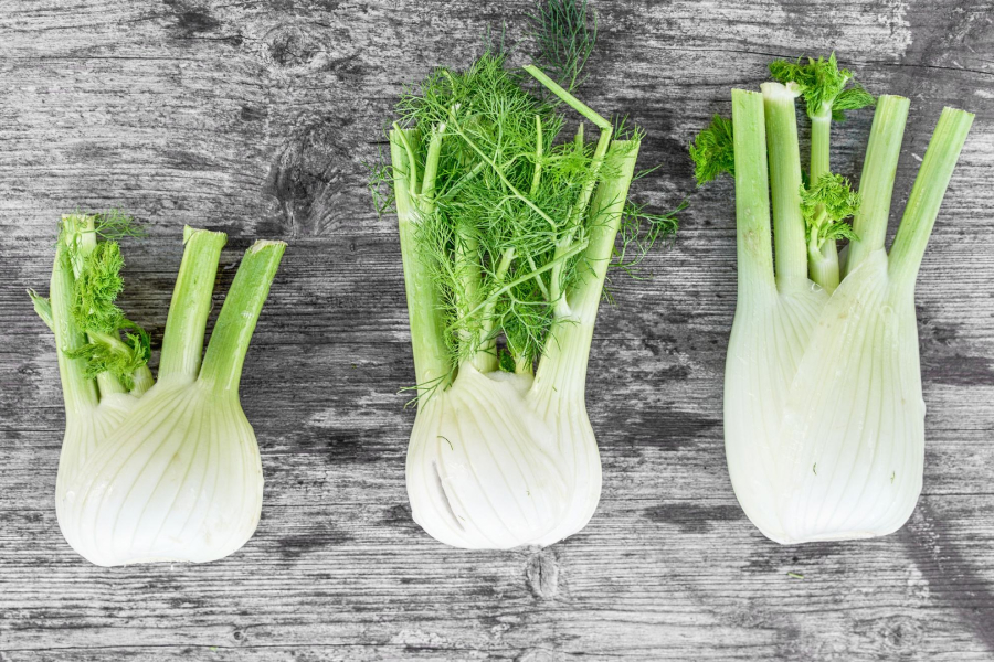 Fennel